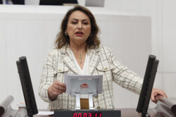 MÜZEYYEN ŞEVKİN: “SORUNLARI YARATAN SİSTEM, ÇÖZÜMÜ KAMERADA ARIYOR”