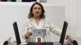 MÜZEYYEN ŞEVKİN: “SORUNLARI YARATAN SİSTEM, ÇÖZÜMÜ KAMERADA ARIYOR”