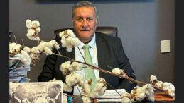 PAMUKTA TEHLİKE ÇANLARI!