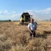  ÇUKUROVA’DA HASAT KAPIDA, ÇİFTÇİ TETİKTE: “BUĞDAYDA BELİRSİZLİK BİTSİN!”
