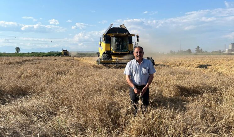  ÇUKUROVA’DA HASAT KAPIDA, ÇİFTÇİ TETİKTE: “BUĞDAYDA BELİRSİZLİK BİTSİN!”