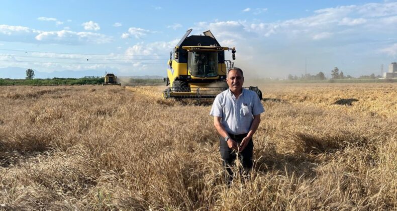  ÇUKUROVA’DA HASAT KAPIDA, ÇİFTÇİ TETİKTE: “BUĞDAYDA BELİRSİZLİK BİTSİN!”