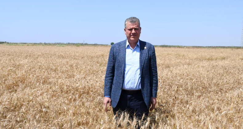 “HASAT GELDİ, FİYAT HALA YOK”