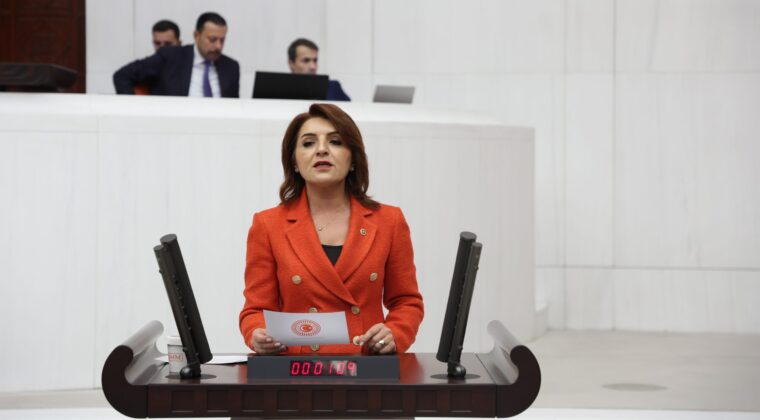 CHP’Lİ GÜLCAN KIŞ: “ÖĞRETMENLER AÇLIK GREVİNDE, BAKANLIK HÂLÂ SESSİZ”