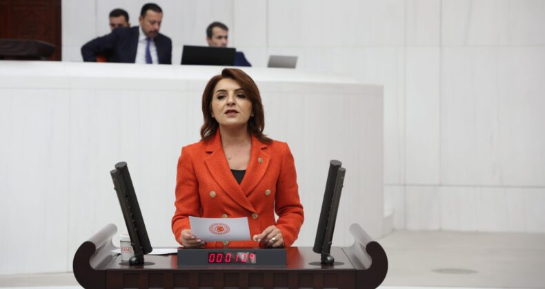 CHP’Lİ GÜLCAN KIŞ: “ÖĞRETMENLER AÇLIK GREVİNDE, BAKANLIK HÂLÂ SESSİZ”