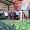 BÜYÜKŞEHİR’DEN ALADAĞ ÜRETİCİSİNE 400 BİN DOMATES FİDESİ…