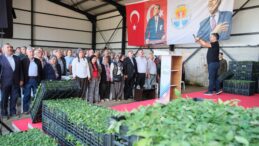 BÜYÜKŞEHİR’DEN ALADAĞ ÜRETİCİSİNE 400 BİN DOMATES FİDESİ…