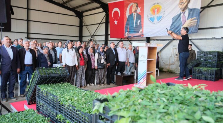 BÜYÜKŞEHİR’DEN ALADAĞ ÜRETİCİSİNE 400 BİN DOMATES FİDESİ…