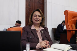 MÜZEYYEN ŞEVKİN: “FİLMLERE KONU OLAN ADANA, HAK ETTİĞİ DEĞERİ GÖRMÜYOR”