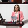 TBMM’DE ADANA SESLERİ 