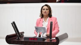 TBMM’DE ADANA SESLERİ 