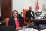 ÇIPLAK ARAMA İŞKENCEDİR, HESAP SORULMALIDIR