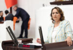 MÜZEYYEN ŞEVKİN: “KÖYLÜ TOPRAĞINI TERK EDİYOR, KENTLERDE İŞSİZLİĞE MAHKUM EDİLİYOR”