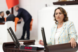 MÜZEYYEN ŞEVKİN: “KÖYLÜ TOPRAĞINI TERK EDİYOR, KENTLERDE İŞSİZLİĞE MAHKUM EDİLİYOR”