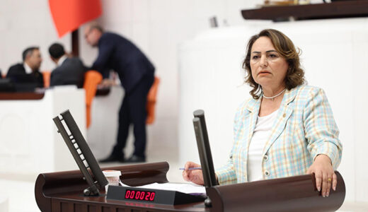 MÜZEYYEN ŞEVKİN: “KÖYLÜ TOPRAĞINI TERK EDİYOR, KENTLERDE İŞSİZLİĞE MAHKUM EDİLİYOR”