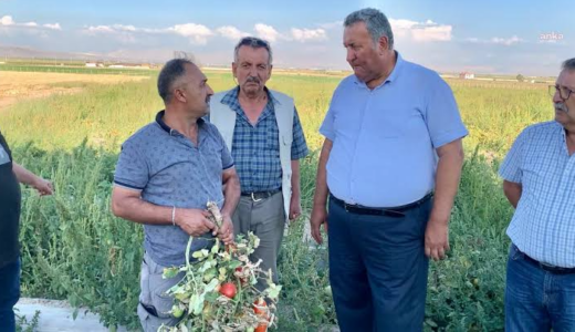 GÜRER: “ÜRETİCİ-ÇİFTÇİ BORCUNU ÖDEYEMEYİNCE İCRA KAPIDA”
