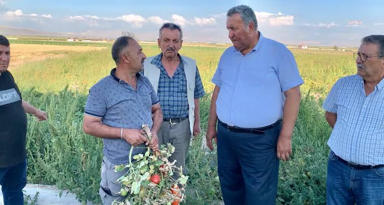 GÜRER: “ÜRETİCİ-ÇİFTÇİ BORCUNU ÖDEYEMEYİNCE İCRA KAPIDA”