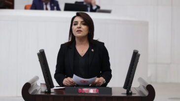 GÜLCAN KIŞ: “AKP, MİLLETE TASARRUFU, BÜTÇEYE FAİZİ REVA GÖRDÜ”