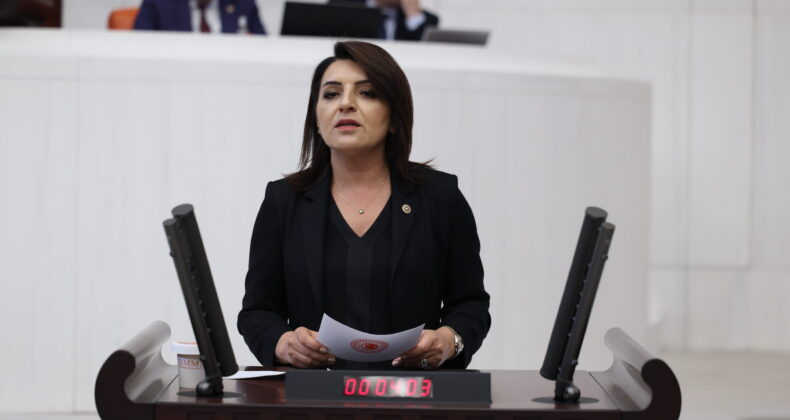 GÜLCAN KIŞ: “AKP, MİLLETE TASARRUFU, BÜTÇEYE FAİZİ REVA GÖRDÜ”