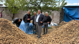 “İKTİDAR TARIMDA PATATES VE SOĞAN PAZARINI DAHİ YÖNETEMEDİ”