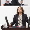 MÜZEYYEN ŞEVKİN: “386 BİN RUHSATLA DOĞA VE TARIM YAĞMA ALTINDA”
