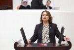 MÜZEYYEN ŞEVKİN: “386 BİN RUHSATLA DOĞA VE TARIM YAĞMA ALTINDA”
