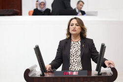 MÜZEYYEN ŞEVKİN: “386 BİN RUHSATLA DOĞA VE TARIM YAĞMA ALTINDA”