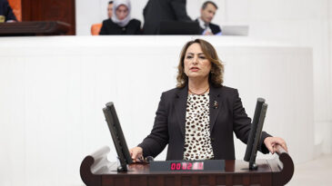 MÜZEYYEN ŞEVKİN: “386 BİN RUHSATLA DOĞA VE TARIM YAĞMA ALTINDA”