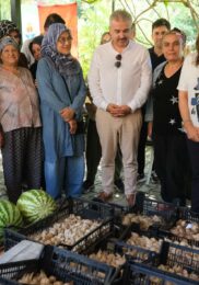 KADIN GÜÇLENİRSE TOPLUM GÜÇLENİR- BEYAZ ZAMBAK PROJESİNDE HASAT DÖNEMİ