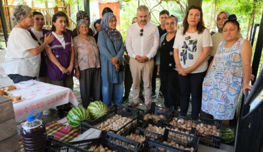 KADIN GÜÇLENİRSE TOPLUM GÜÇLENİR- BEYAZ ZAMBAK PROJESİNDE HASAT DÖNEMİ