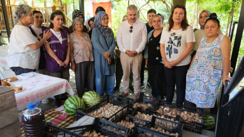 KADIN GÜÇLENİRSE TOPLUM GÜÇLENİR- BEYAZ ZAMBAK PROJESİNDE HASAT DÖNEMİ
