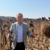 AYÇİÇEK ÜRETİCİSİNE İTHALAT DARBESİ