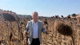 AYÇİÇEK ÜRETİCİSİNE İTHALAT DARBESİ