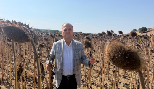 AYÇİÇEK ÜRETİCİSİNE İTHALAT DARBESİ