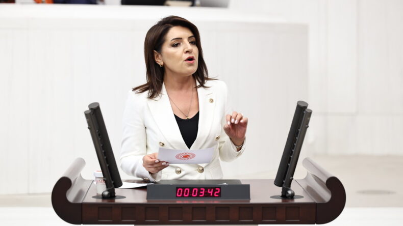 CHP’Lİ GÜLCAN KIŞ: “DÜNYA ÜLKELERİ ÜRETİCİSİNİ KORUYOR, AKP ANAMURLU ÜRETİCİYİ İTHALATA TESLİM EDİYOR”