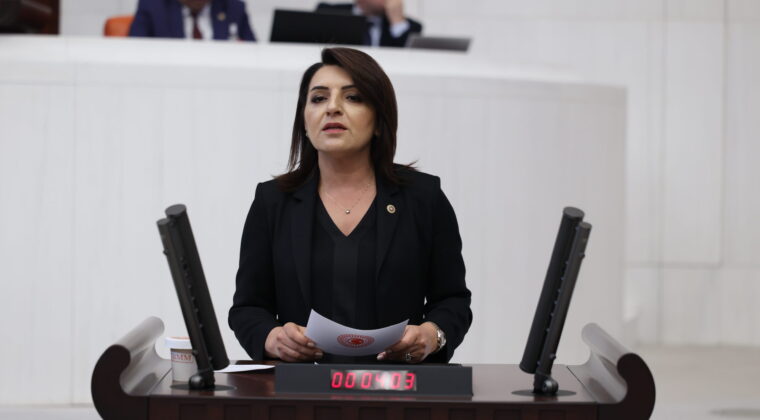 GÜLCAN KIŞ: “30 AĞUSTOS, BİR MİLLETİN KENDİ GELECEĞİNE SAHİP ÇIKTIĞI GÜNDÜR”