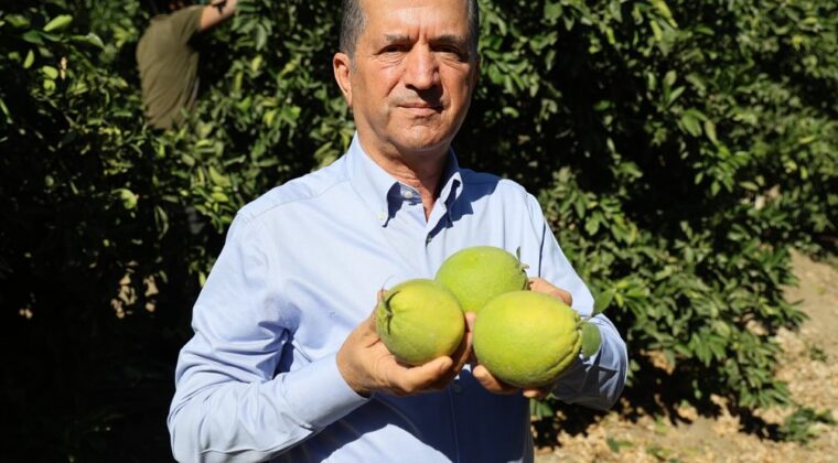 ÇİFTÇİLER, KREDİ LİMİTLERİNİN ACİLEN GÜNCELLENMESİNİ İSTİYOR