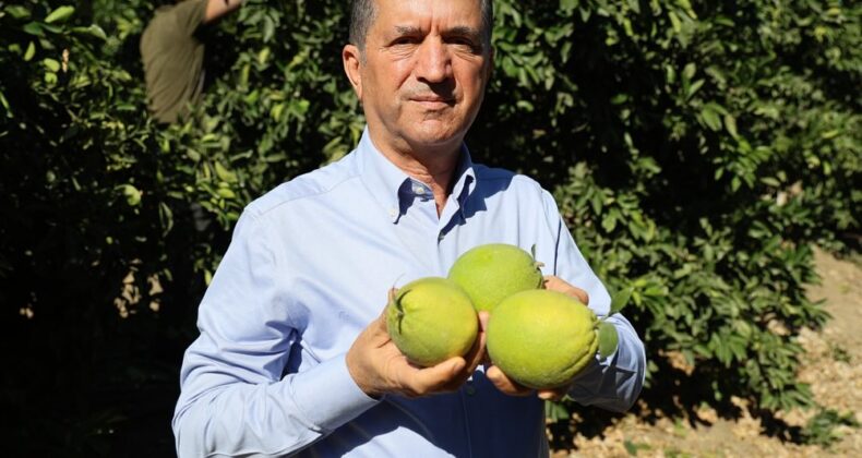 ÇİFTÇİLER, KREDİ LİMİTLERİNİN ACİLEN GÜNCELLENMESİNİ İSTİYOR