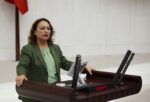 MÜZEYYEN ŞEVKİN: “ŞENGAL’DEKİ EZİDİ KATLİAMI İNSANLIĞIN ORTAK ACISIDIR”