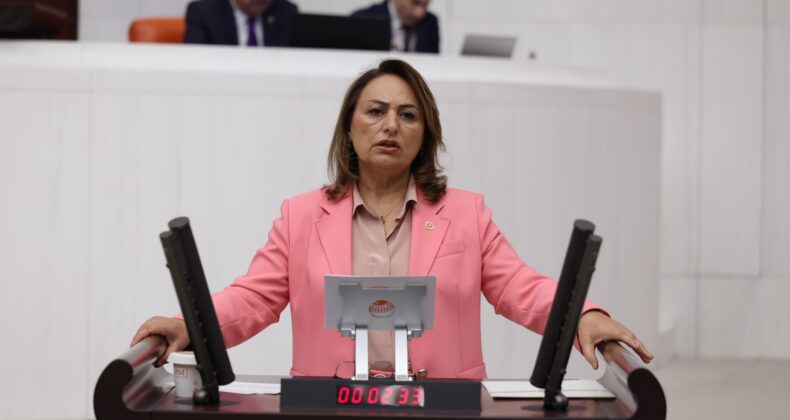 EMEK TARLADA, YÜKSEK FİYAT MARKETTE! – MÜZEYYEN ŞEVKİN’DEN BAKANA 41 SORU!