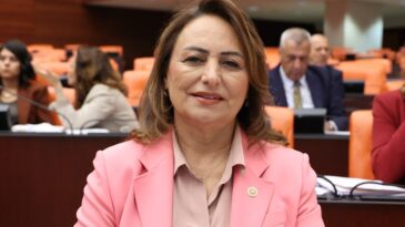 MISIR ÜRETİCİSİ FİYAT BEKLİYOR, ÇİFTÇİ FİNANSMANA ERİŞEMİYOR