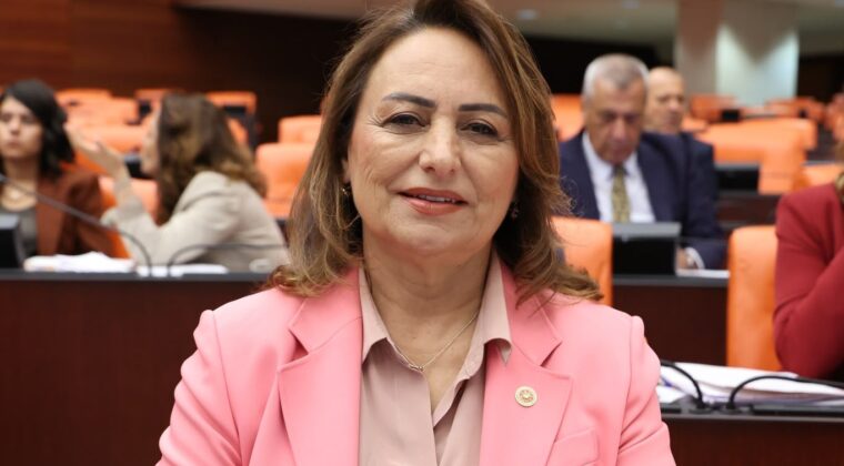 MISIR ÜRETİCİSİ FİYAT BEKLİYOR, ÇİFTÇİ FİNANSMANA ERİŞEMİYOR