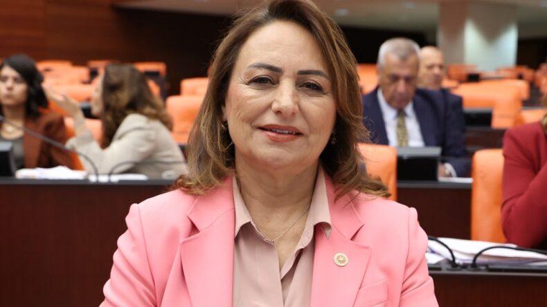 MISIR ÜRETİCİSİ FİYAT BEKLİYOR, ÇİFTÇİ FİNANSMANA ERİŞEMİYOR