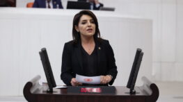 GÜLCAN KIŞ GİRNE–TAŞUCU FACİASININ PEŞİNİ BIRAKMIYOR: