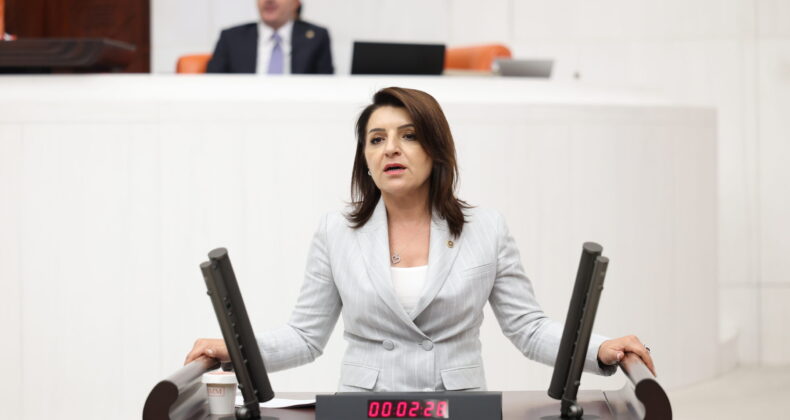 GÜLCAN KIŞ: “100 LİRA 41 LİTRE MAZOT ALIYORDU, ŞİMDİ 1 LİTRE”