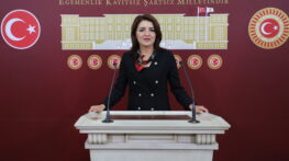 MERSİN’İN NARENCİYESİ İÇİN ZAMAN DARALIYOR: KIŞ’TAN 3 BAKANA 30 SORU