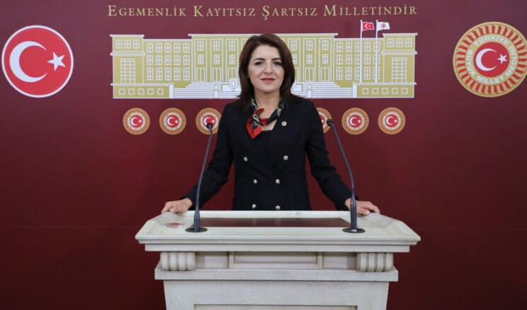 MERSİN’İN NARENCİYESİ İÇİN ZAMAN DARALIYOR: KIŞ’TAN 3 BAKANA 30 SORU