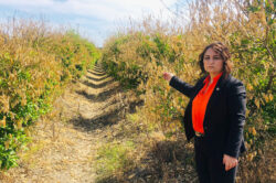 MÜZEYYEN ŞEVKİN: “ÇUKUROVA ÇİFTÇİSİ ÜRETİMDEN KOPMA NOKTASINDA!”
